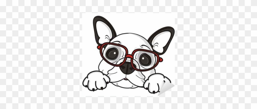 Glasses, Dog, French, Bulldog, Breed, Background, White, - Bulldog Puppies Clipart #727317