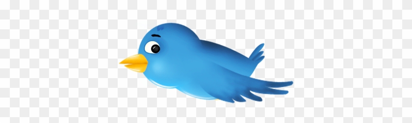 Follow The Following Steps - Twitter Bird #727427