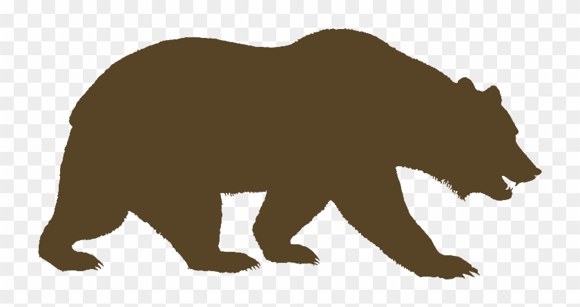 University Of California, Berkeley American Black Bear - University Of California, Berkeley American Black Bear #727564