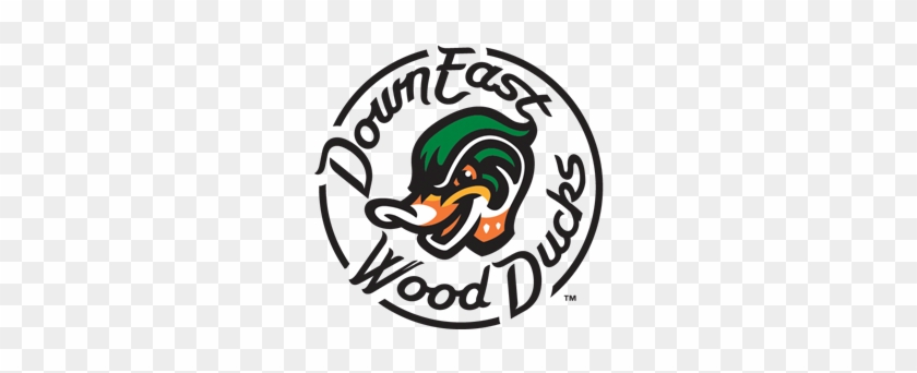 Home / Texas Rangers - Down East Wood Ducks Logo #728580