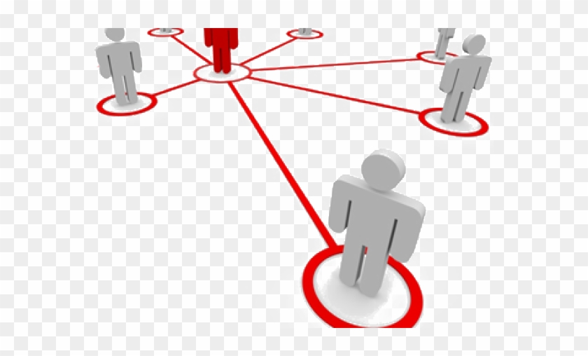 Registration, Imports, And Inspection - Registration, Imports, And Inspection #728840