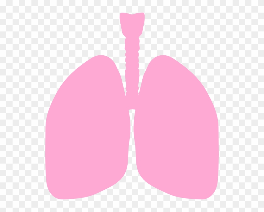 Lungs Clip Art At Clker - Clip Art Lungs #728990