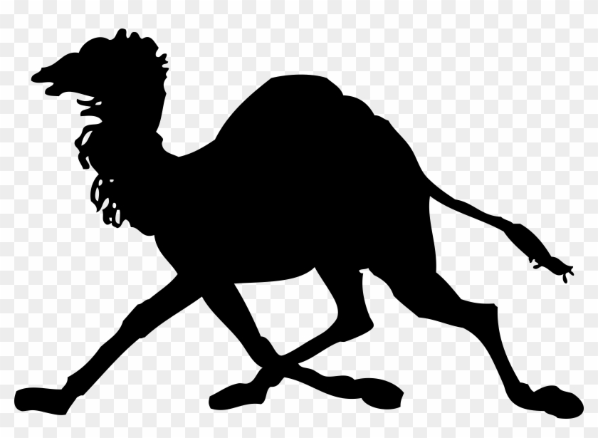 Camel Silhouette Black White Line Art 555px - Camel Silhouette #729189