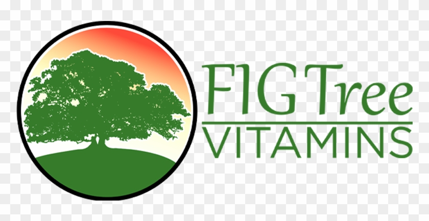 Fig Tree Vitamins - Photograph #729400