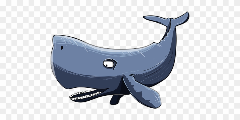 Humpback Whale Cartoon - Sperm Whale Cartoon #729486