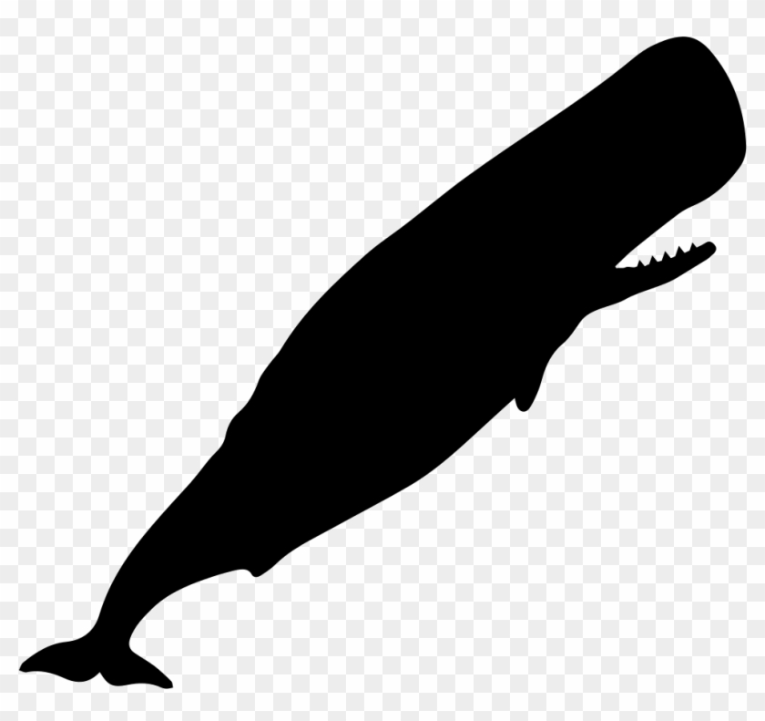 Sperm Whale Silhouette Svg Png Icon Free Download - Sperm Whale Silhouette #729509