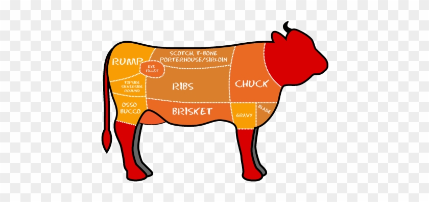 Know Your Cuts - Know Your Cuts #730138