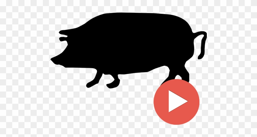 Pork Videos - Pig Silhouette Clip Art #730160