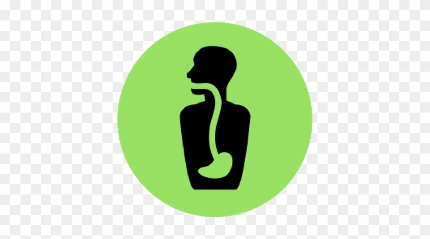 Stomach Icon Green - Portable Network Graphics #730716