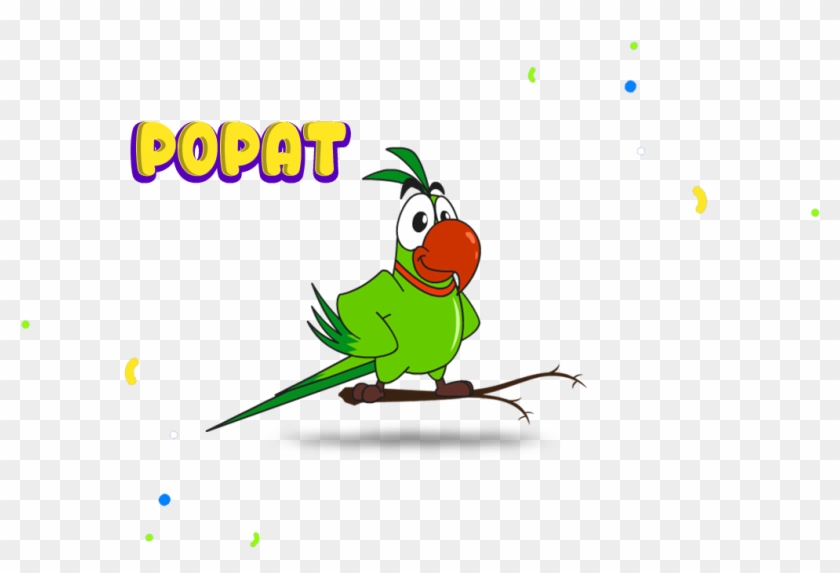 Popat - Budgie #731105