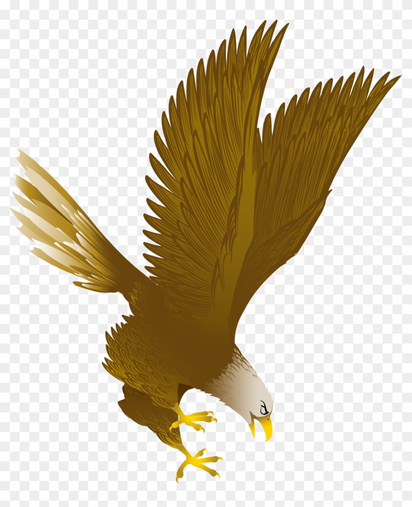 Bald Eagle Clip Art - Bald Eagle Clip Art #731226