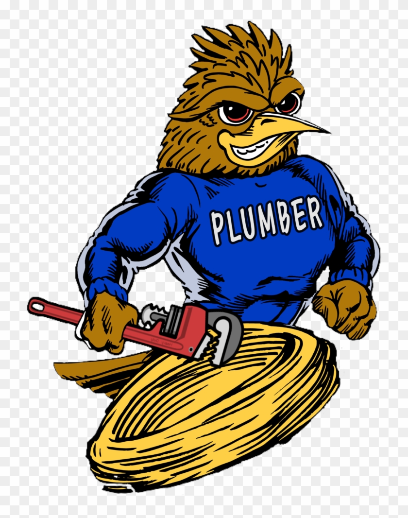 Roadrunner Plumber Plumbing, Drain Cleaning, Video - Canyon Lake High School #731170