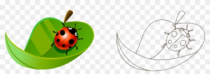 Cartoon Painted Leaves Ladybird Artwork - Ladybird Beetle #731197