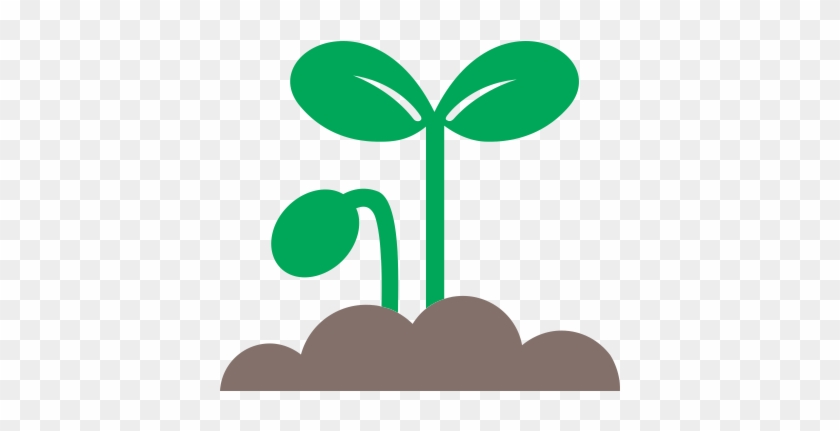 Sprouts Color - Poughkeepsie #731243