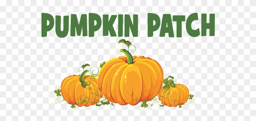 Pumpkin-patch - Pumpkin Patch Clip Art #731374