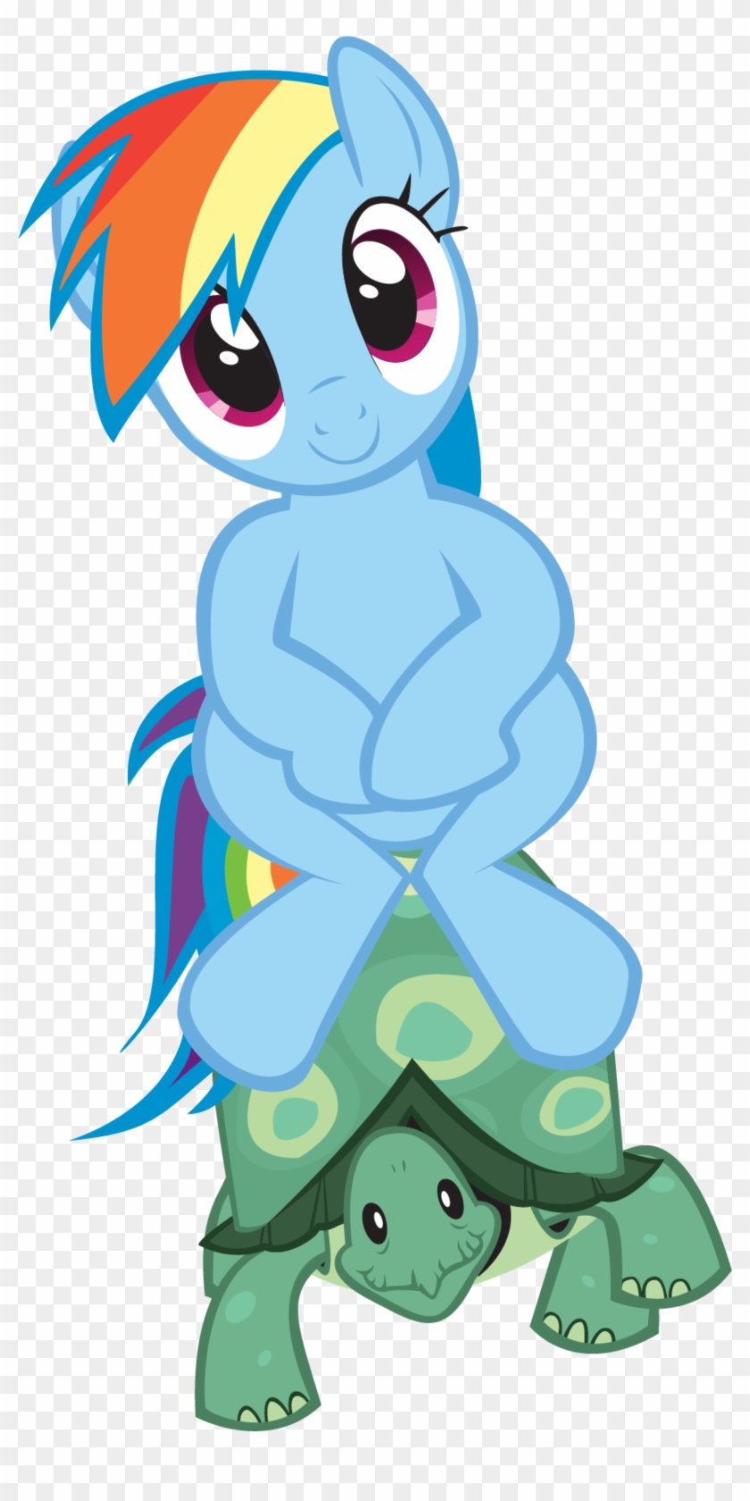 Mlp Rainbow Dash - My Little Pony Rainbow Dash's Pet #731804