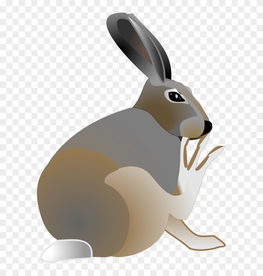 Rabbit Free Vector - Jack Rabbit Clipart #732134