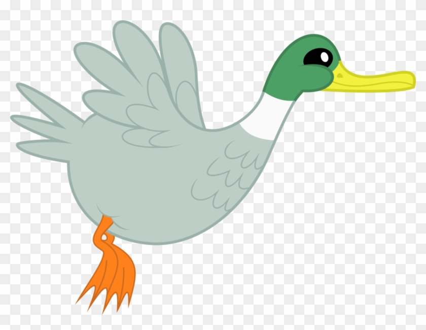 Duck Bird Anatidae Clip Art - Cartoon Duck Flying Png #732285