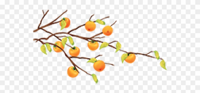 Cartoon Fruit Tree Tangerine - Cartoon Fruit Tree Tangerine #732310