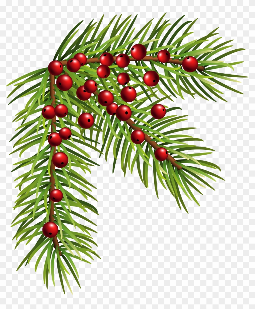 Christmas Pine Corner Png Clip Art Image - Christmas Pine Corner Png Clip Art Image #732373