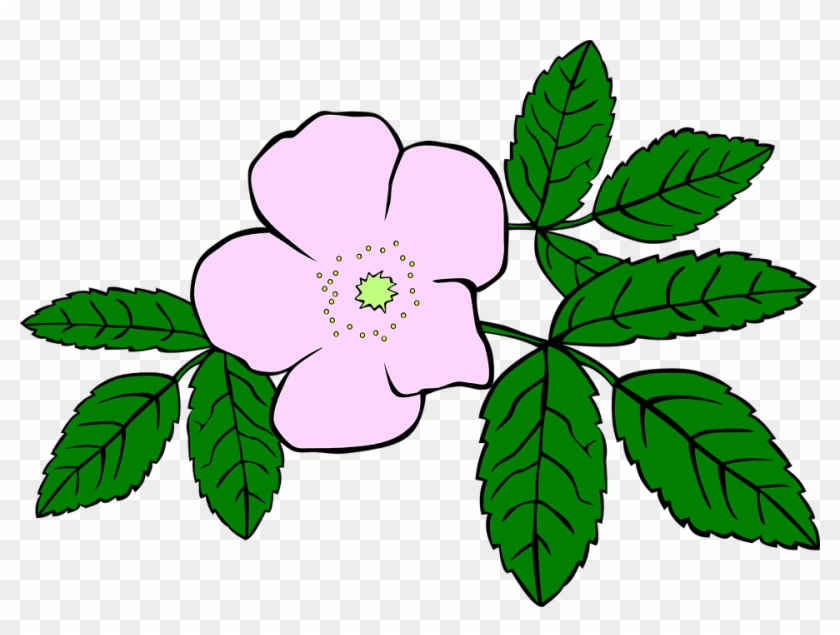 Purple Rose Clipart Gambar - Clip Art Wild Flower #732363