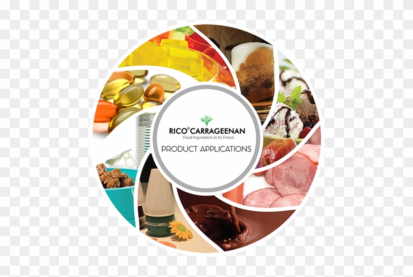 Rico Carrageenan Product Applications - Ice Cream In A Bowl #732465