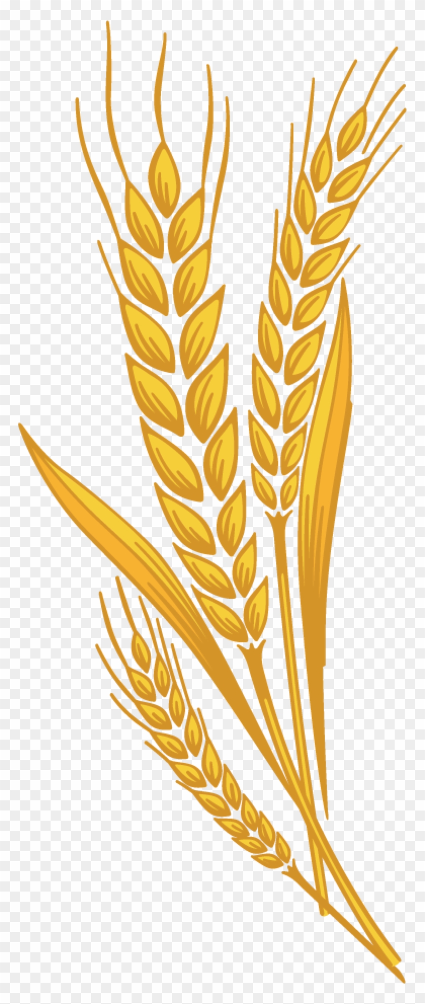 Prairie Bran - Harvest Wheat Clipart #732563