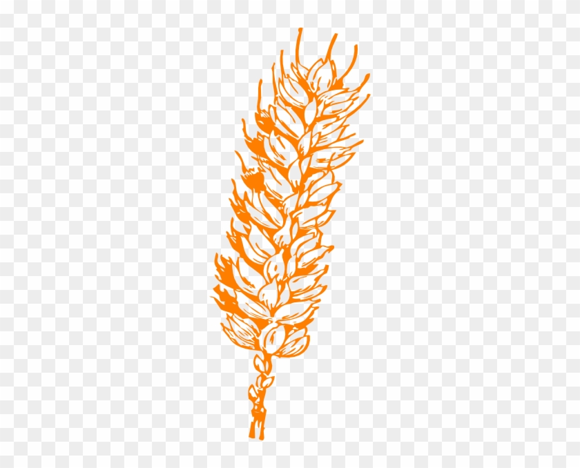 Wheat Clipart Gold - Wheat Clip Art #732581
