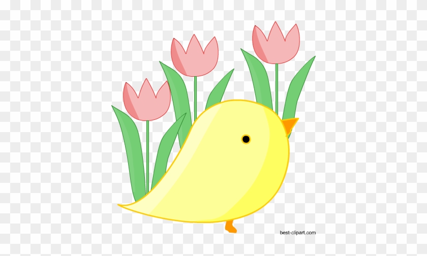 Easter Chick And Tulips, Free Clip Art - Clip Art #732591