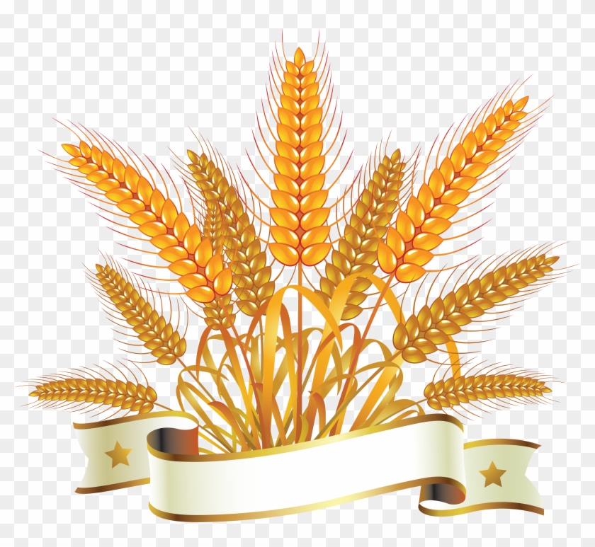 Wheat Png - Spighe Di Grano E Pane #732611