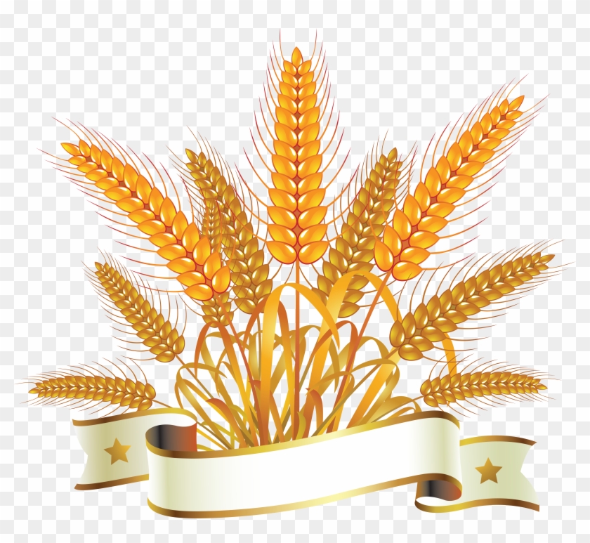 Wheat Png - Spighe Di Grano E Pane #732611