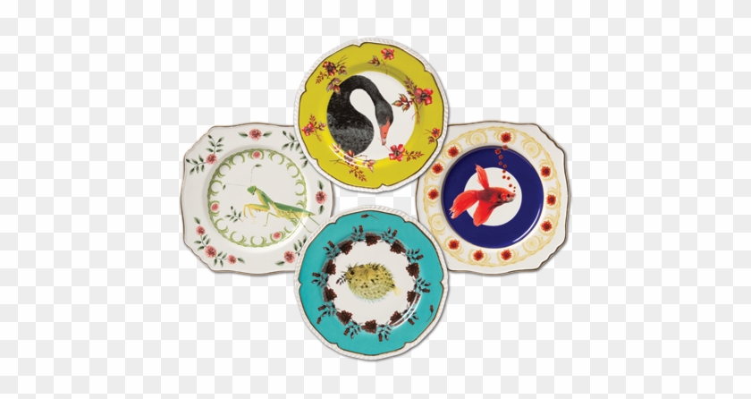 Plates Designed By Lou Rota For Anthropologie - Lou Rota Nature Table #732618