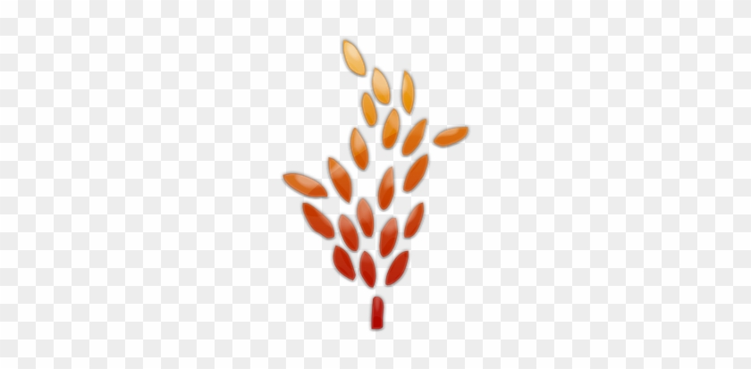 Single Clipart Wheat Grain - Grains Of Wheat Clipart #732632