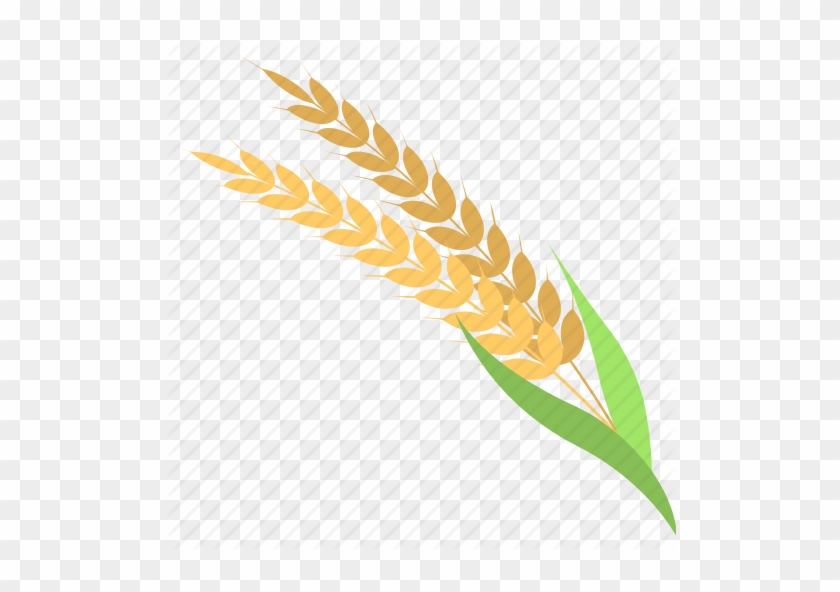 Wheat Icon Png #732712
