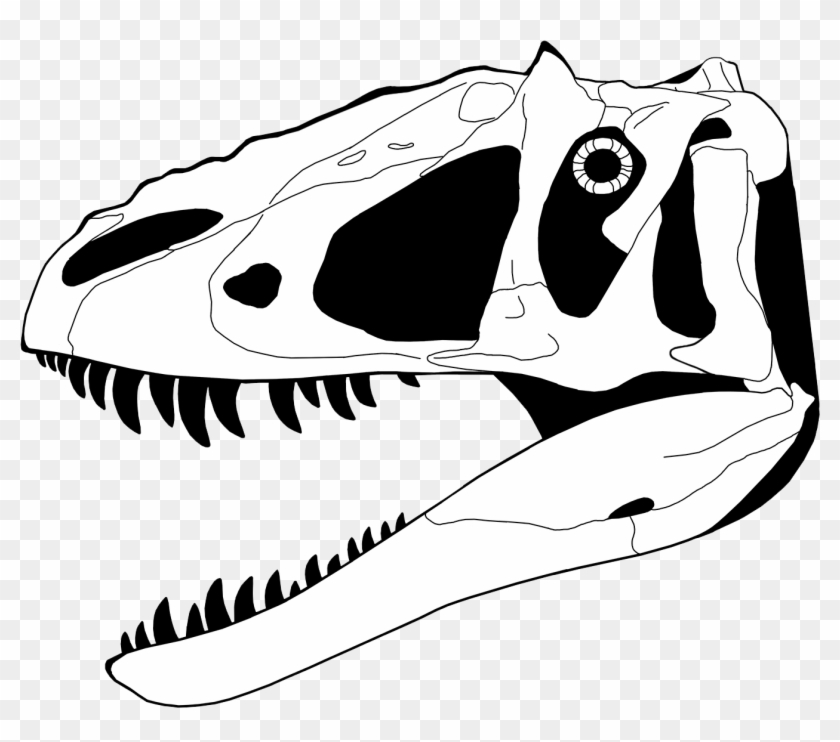 T Rex Skeleton Clipart - Dinosaur Skull Coloring Page #732941