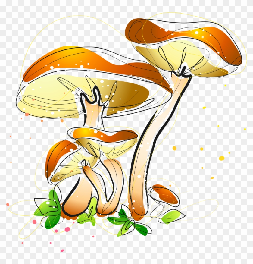 Watercolor Painting Mushroom Fungus Illustration - Watercolor Painting Mushroom Fungus Illustration #733086