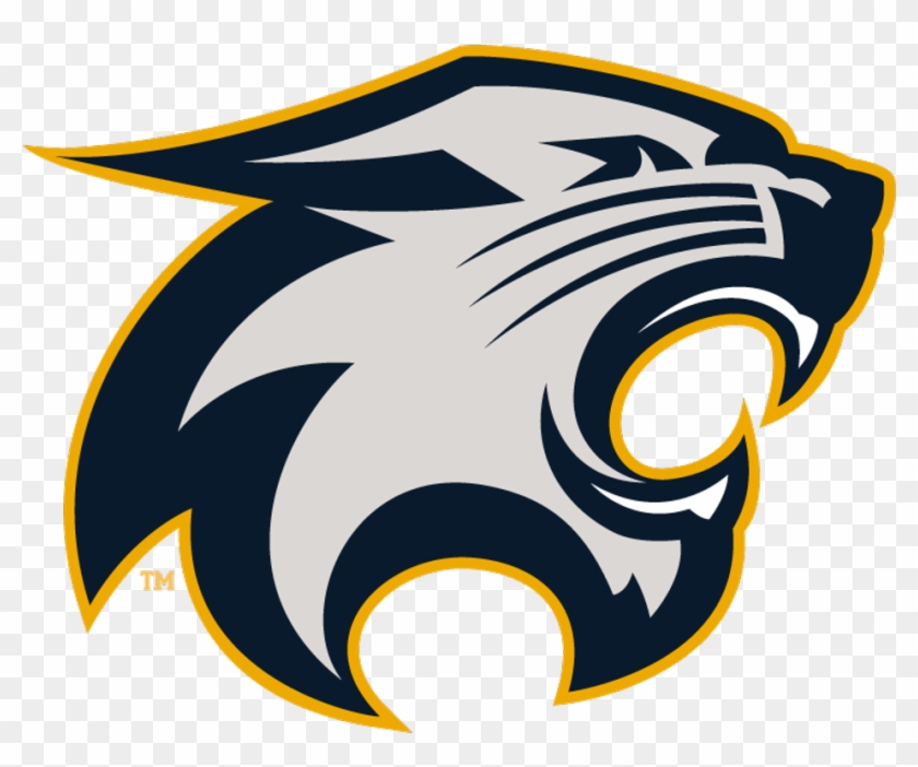 River Falls Wildcats Logo #733123