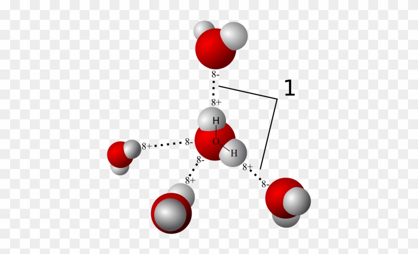 Different Types Of Bonds In Chemical Compound - Hydrogen Bond Vs Van Der Waals #733129