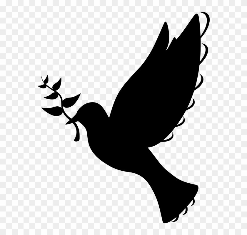Free Photo Silhouette Symbol Flying Olive Branch Peace - Symbols Of God The Holy Spirit #733294