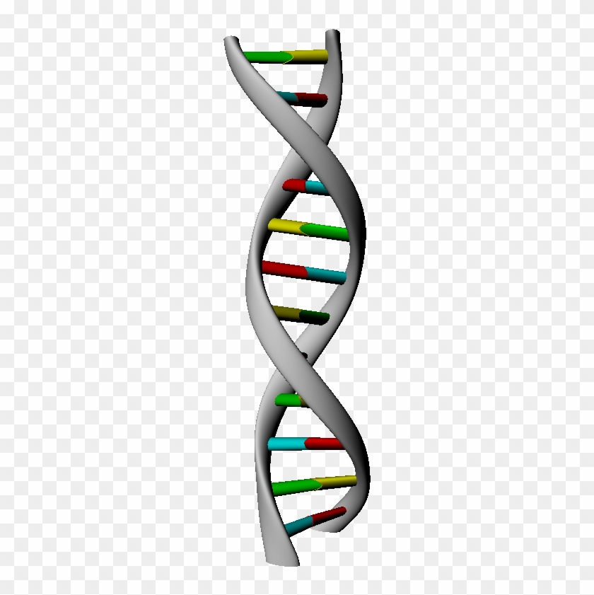 3d Dna Strand Rendering - Headband #733463