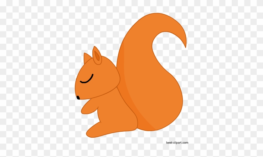 Cute Squirrel Clip Art - Squirrel #733651