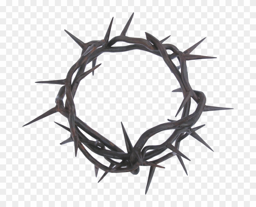 Crown Of Thorns Thorns, Spines, And Prickles Clip Art - Crown Of Thorns Thorns, Spines, And Prickles Clip Art #733855