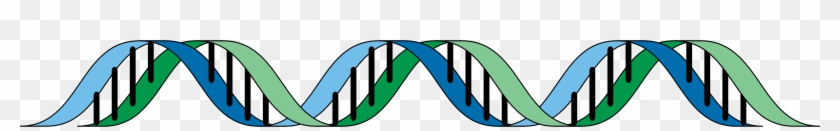 Big Image - Dna Clip Art #733860