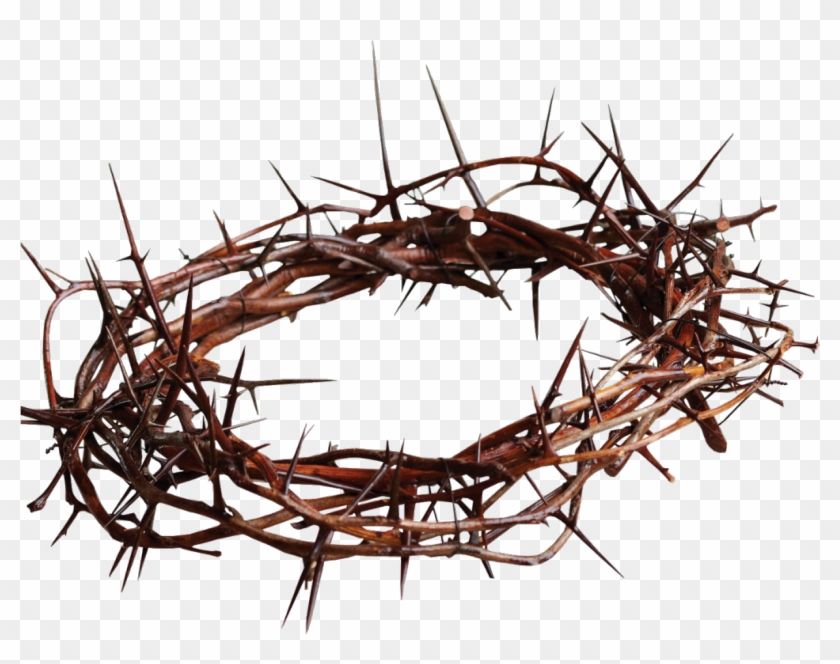 Crown Of Thorns Christian Cross Gospel Thorns, Spines, - Crown Of Thorns Christian Cross Gospel Thorns, Spines, #733956