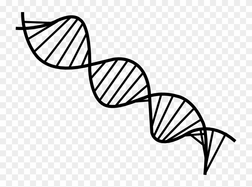 Dna Drawing Png - Dna Line Drawing #733883