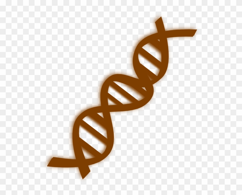 Dna Clip Art At Clker - Dna #733886