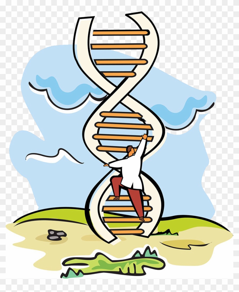 A Dna Scientist Stock Photography Molecular Weight - A Dna Scientist Stock Photography Molecular Weight #734010