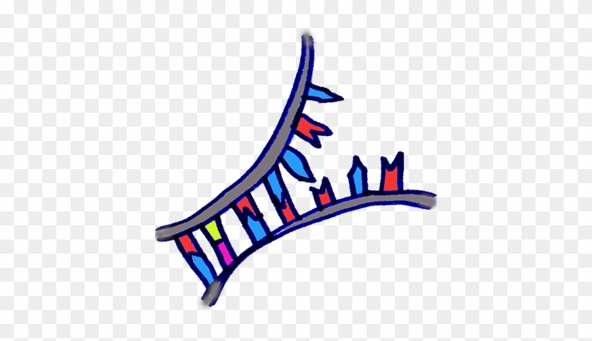 Dna-zipper - Dna-zipper #734016