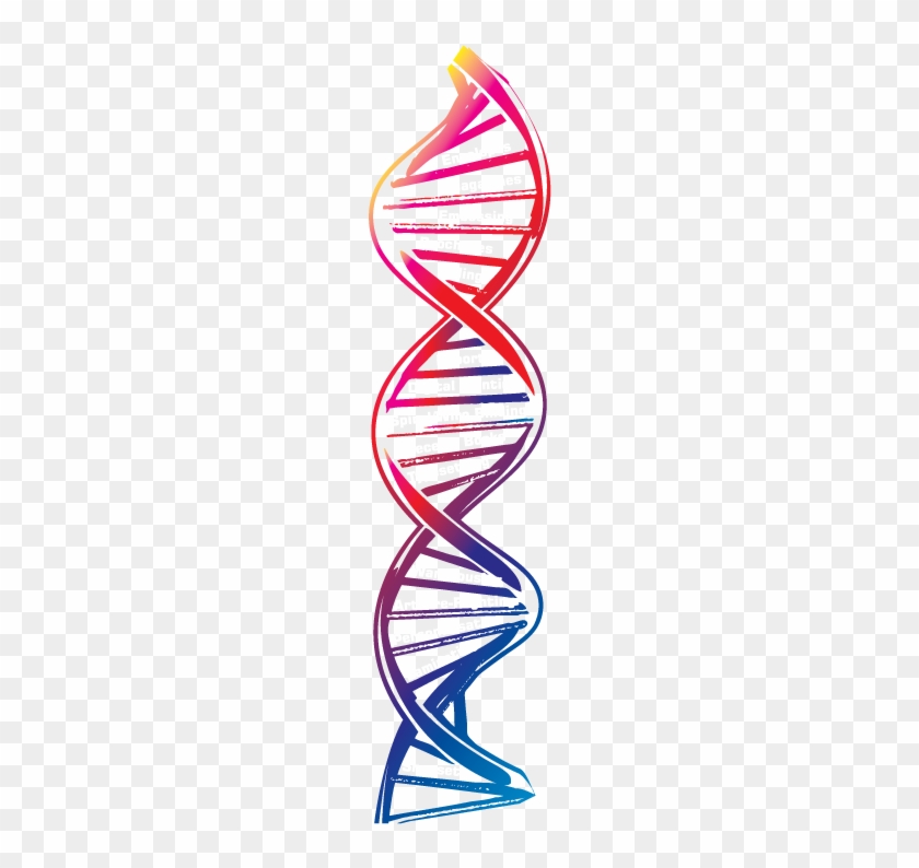 Services - Transparent Background Dna Png #734024