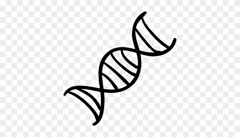 Dna Chain Vector - Double Helix Black And White #734067